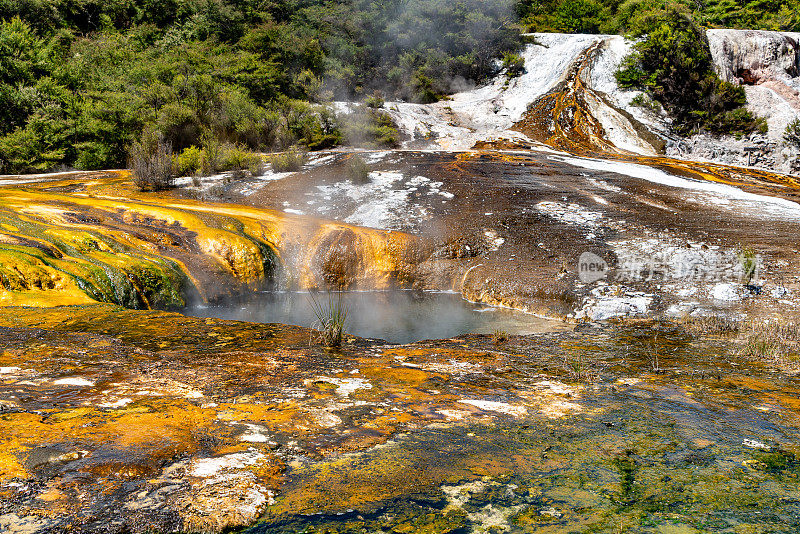 梯级梯田和Terracettes, Orakei Korako地热公园和洞穴，隐藏山谷，新西兰陶波